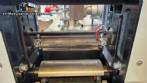 DXDZ-250X Inverted Flow Pack Packaging Machine