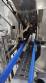 Line for brine filling manual product insertion and automatic capping