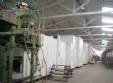 Industrial line for production of long pasta noodle spaghetti Braibanti