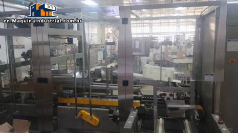 Masipack automatic case packer