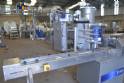 Sermac Flow Pack Packaging Machine