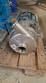 Castinox sanitary centrifugal pump with WEG 2 HP motor