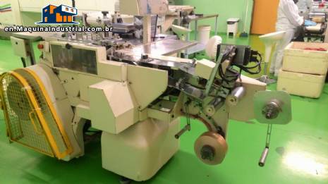 Packing machine Otto Haensel HTN