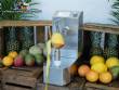 Automatic peeler for pineapple, mango and melon, 250 units per minute Astra