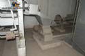 Line for mechanical extraction of vegetable oils