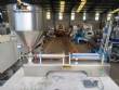 Stainless steel filling machine with 1 benchtop spout 100 ml to 1000 ml