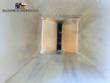 Extruder for chewing candies and chewing gum Gum Making Machine 1200 kg