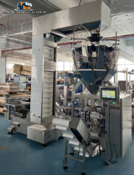 Automatic multi-head packaging machine