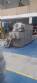 Stainless steel soap mass extruder 650 kg Mazbra
