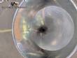 Stainless steel tank with sanitary pump