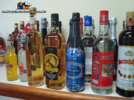 Beverage industry company in the State of So Paulo