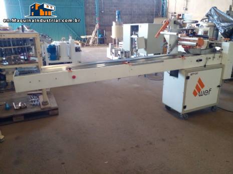 WEF Máquinas Stainless Steel Flow Pack Packer