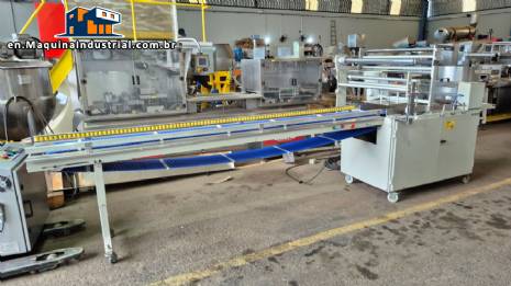 Flowpack packaging machine for hamburger buns and hot dogs, Rodopac