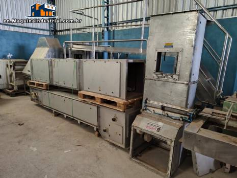 WIESE Z-shaped bucket elevator conveyor