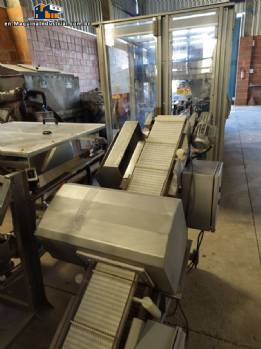 Brapenta metal detector