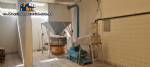Breadcrumb production line: 15 tons per day