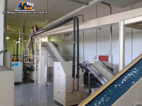 Cylinder and Duplex extruder vacuum Homogenizer Cylinder and Duplex extruder vacuum Homogenizer